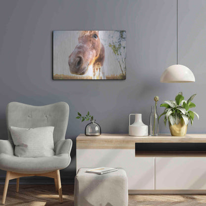 Luxe Metal Art 'Hi Horse' by Donnie Quillen Metal Wall Art,24x16