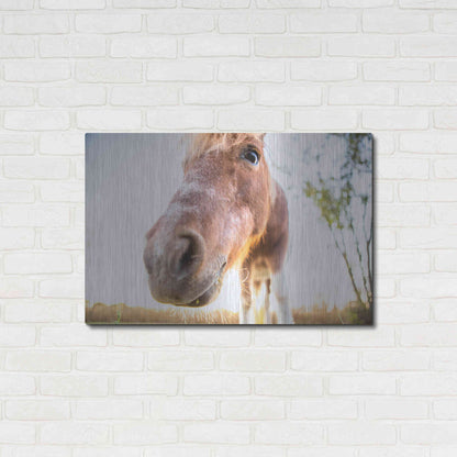 Luxe Metal Art 'Hi Horse' by Donnie Quillen Metal Wall Art,36x24