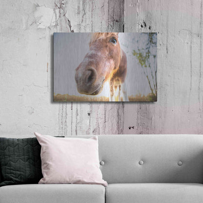 Luxe Metal Art 'Hi Horse' by Donnie Quillen Metal Wall Art,36x24