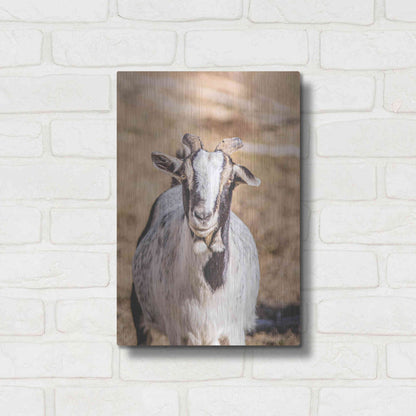 Luxe Metal Art 'Short Beard' by Donnie Quillen Metal Wall Art,12x16