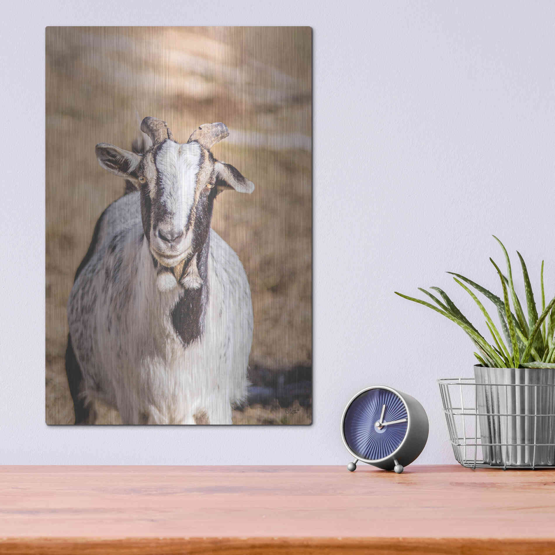 Luxe Metal Art 'Short Beard' by Donnie Quillen Metal Wall Art,12x16