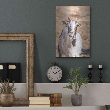 Luxe Metal Art 'Short Beard' by Donnie Quillen Metal Wall Art,12x16