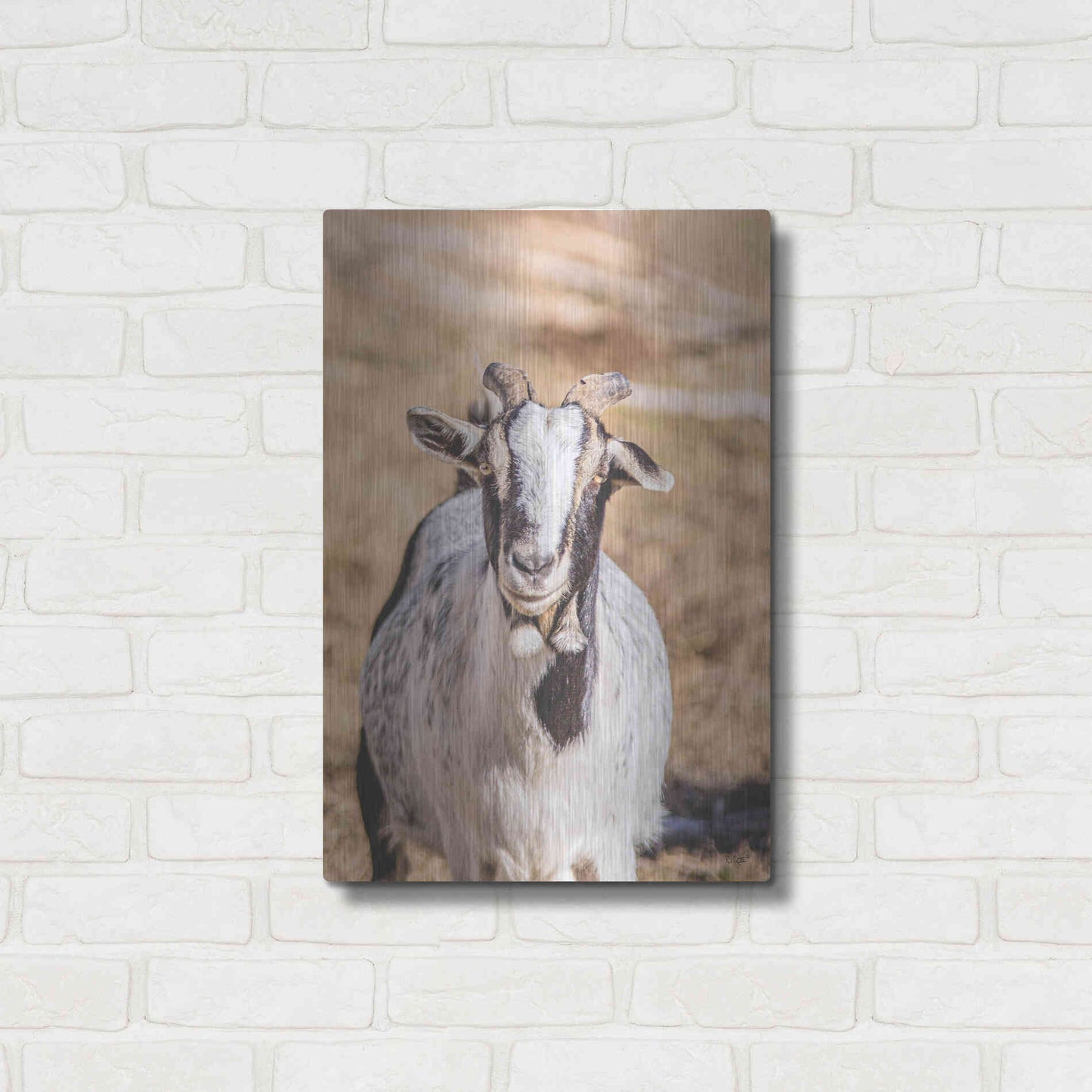Luxe Metal Art 'Short Beard' by Donnie Quillen Metal Wall Art,16x24