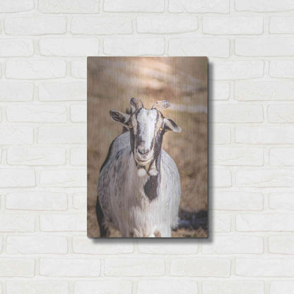 Luxe Metal Art 'Short Beard' by Donnie Quillen Metal Wall Art,16x24