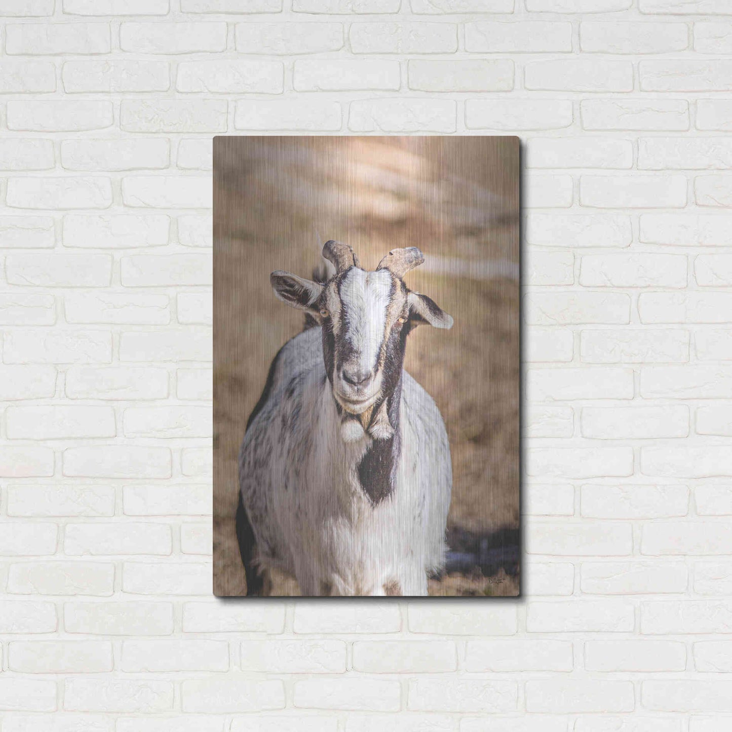 Luxe Metal Art 'Short Beard' by Donnie Quillen Metal Wall Art,24x36