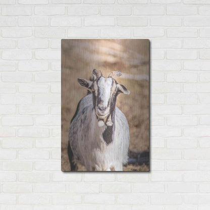 Luxe Metal Art 'Short Beard' by Donnie Quillen Metal Wall Art,24x36