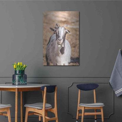 Luxe Metal Art 'Short Beard' by Donnie Quillen Metal Wall Art,24x36