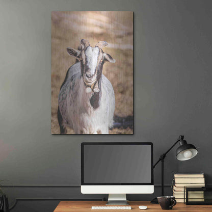 Luxe Metal Art 'Short Beard' by Donnie Quillen Metal Wall Art,24x36
