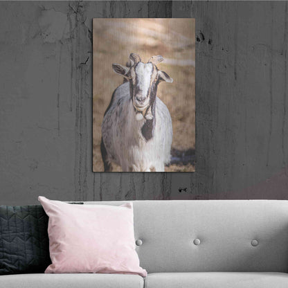 Luxe Metal Art 'Short Beard' by Donnie Quillen Metal Wall Art,24x36