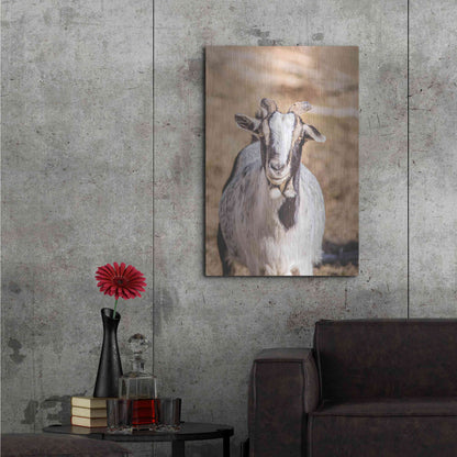 Luxe Metal Art 'Short Beard' by Donnie Quillen Metal Wall Art,24x36