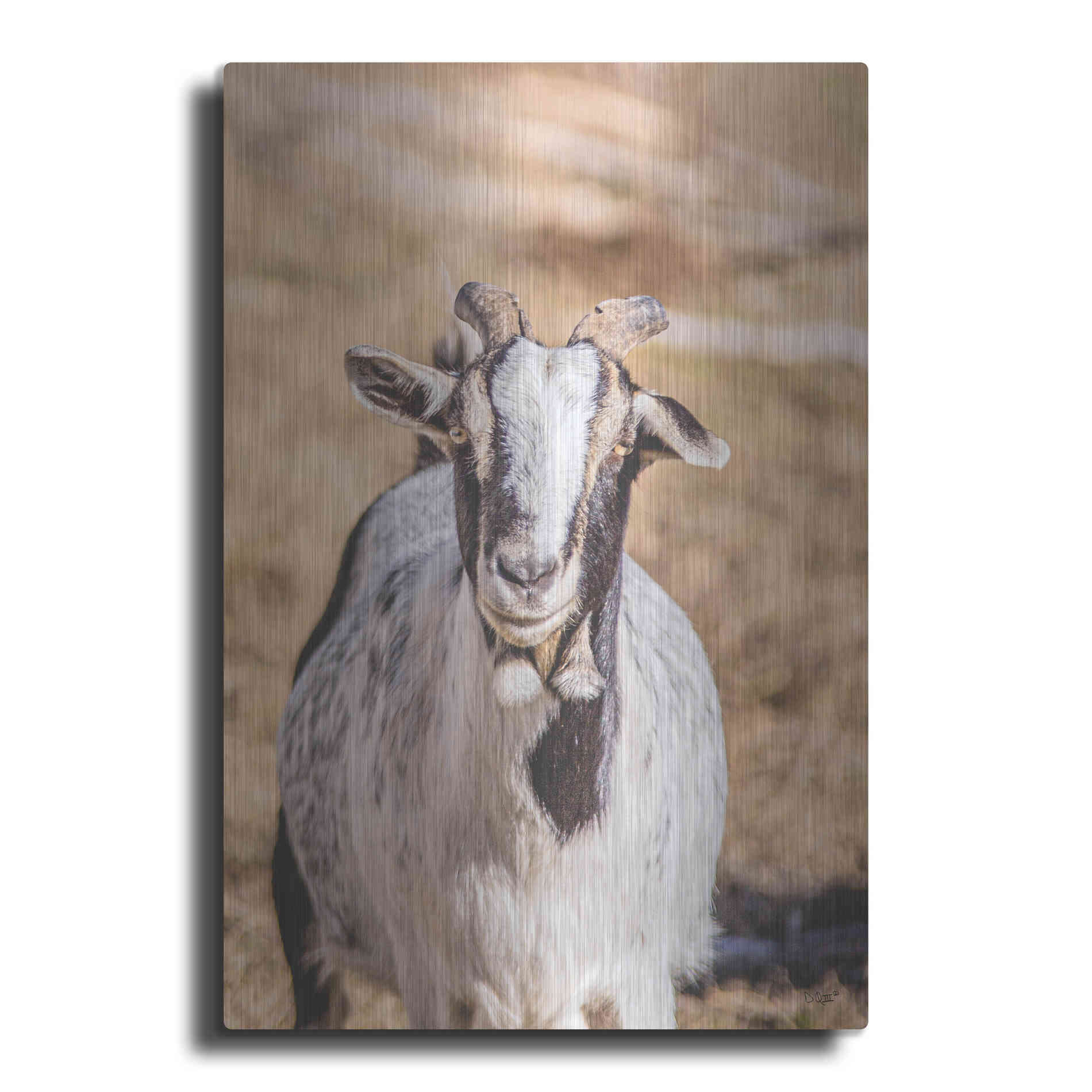 Luxe Metal Art 'Short Beard' by Donnie Quillen Metal Wall Art