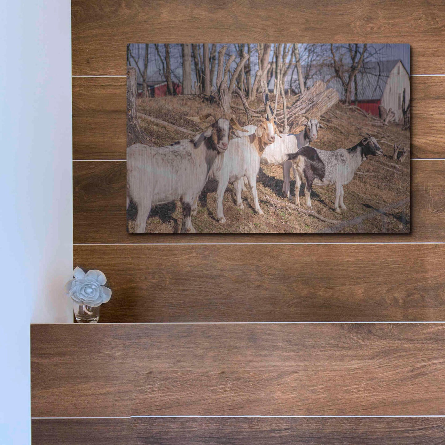 Luxe Metal Art 'Goats of a Feather' by Donnie Quillen Metal Wall Art,16x12