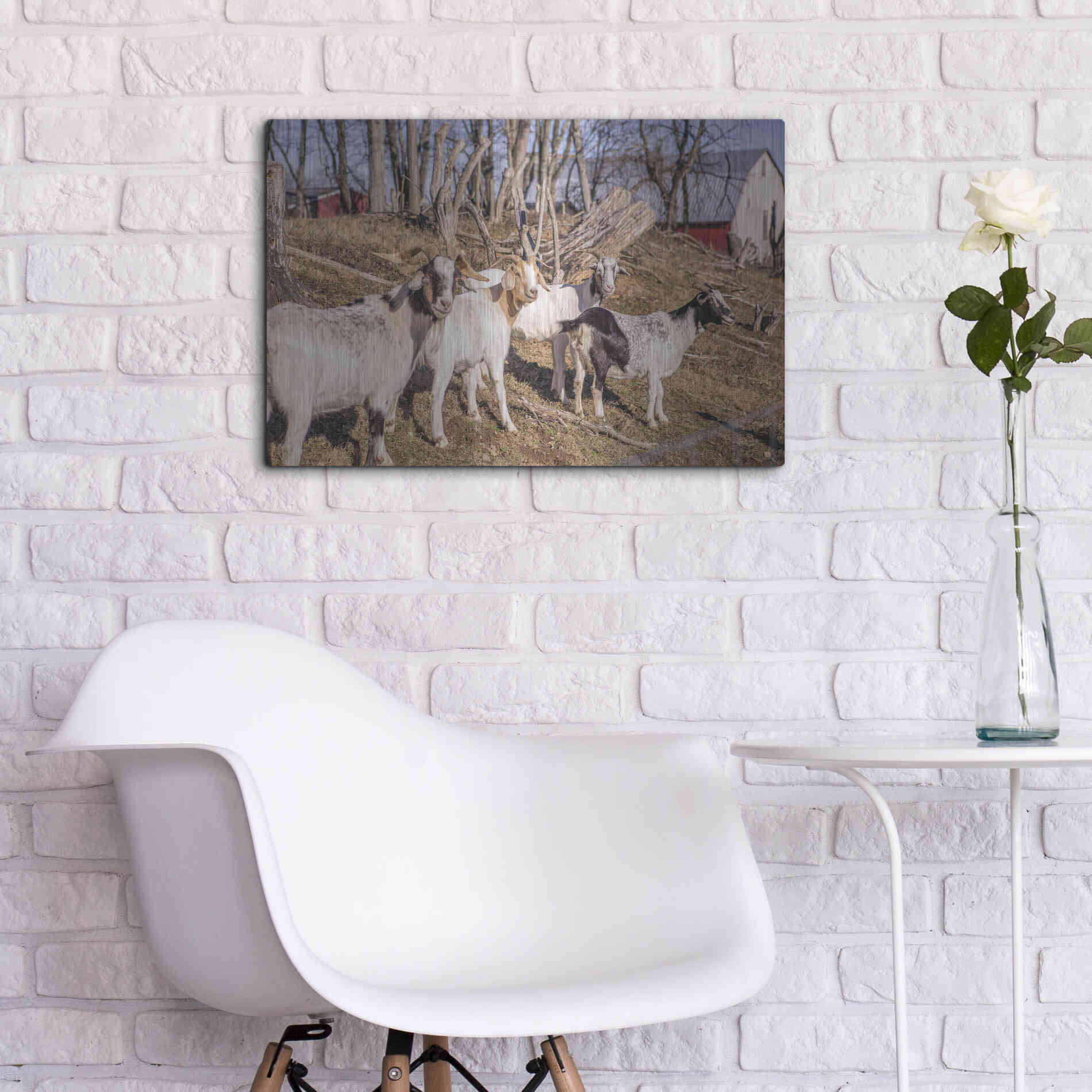 Luxe Metal Art 'Goats of a Feather' by Donnie Quillen Metal Wall Art,24x16