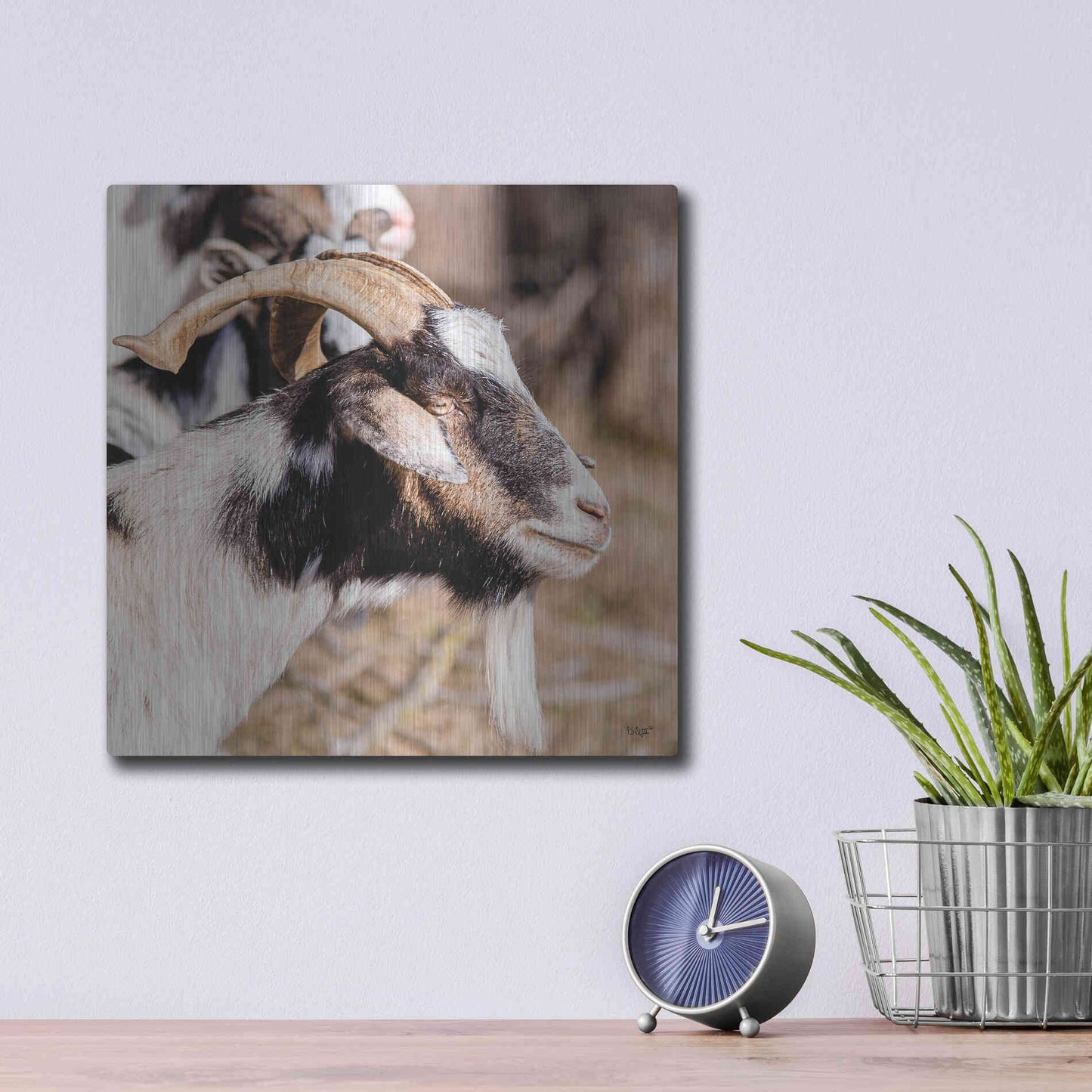 Luxe Metal Art 'Bearded Side Goat' by Donnie Quillen Metal Wall Art,12x12