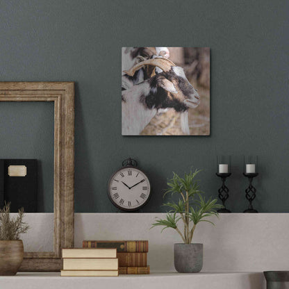 Luxe Metal Art 'Bearded Side Goat' by Donnie Quillen Metal Wall Art,12x12