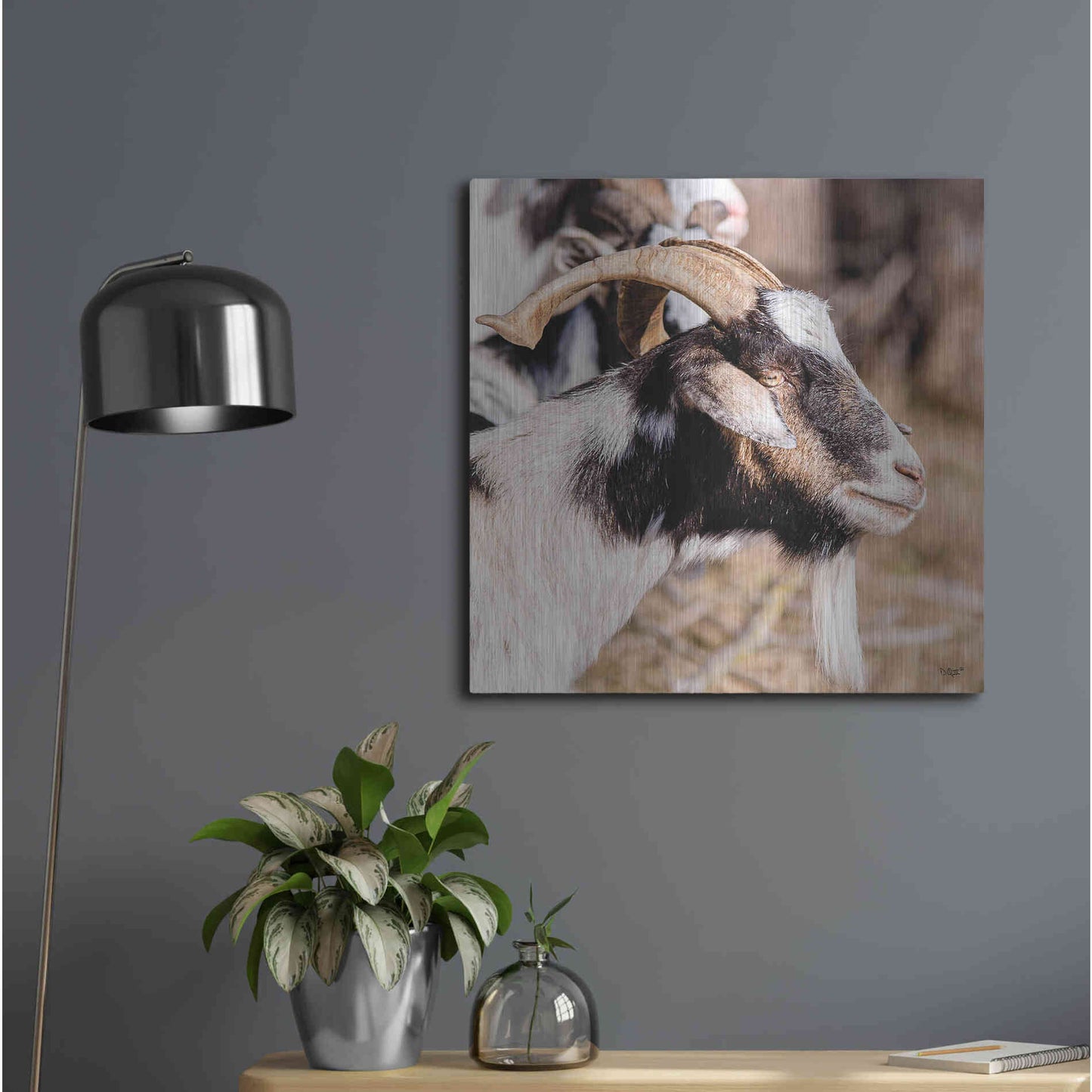 Luxe Metal Art 'Bearded Side Goat' by Donnie Quillen Metal Wall Art,24x24