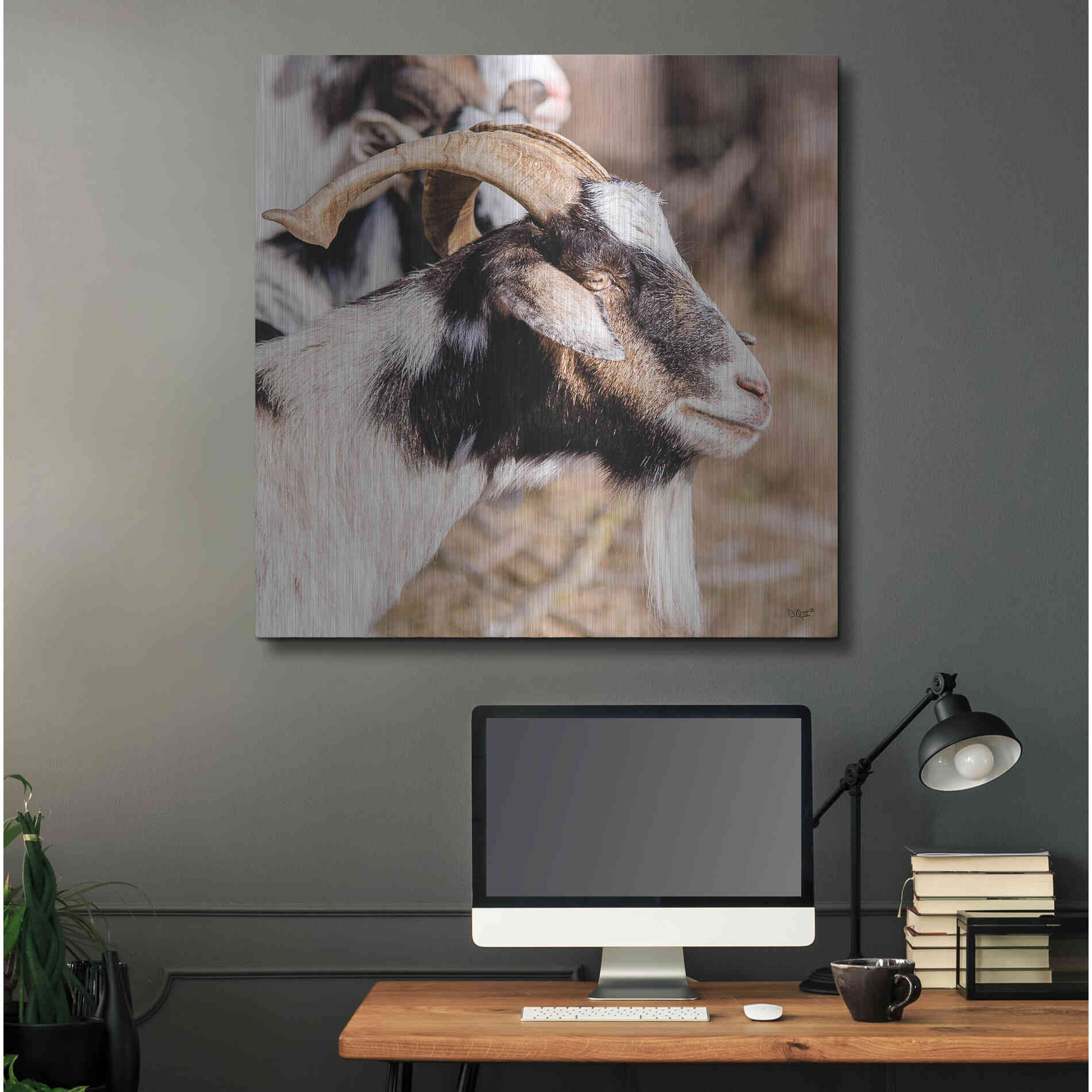 Luxe Metal Art 'Bearded Side Goat' by Donnie Quillen Metal Wall Art,36x36