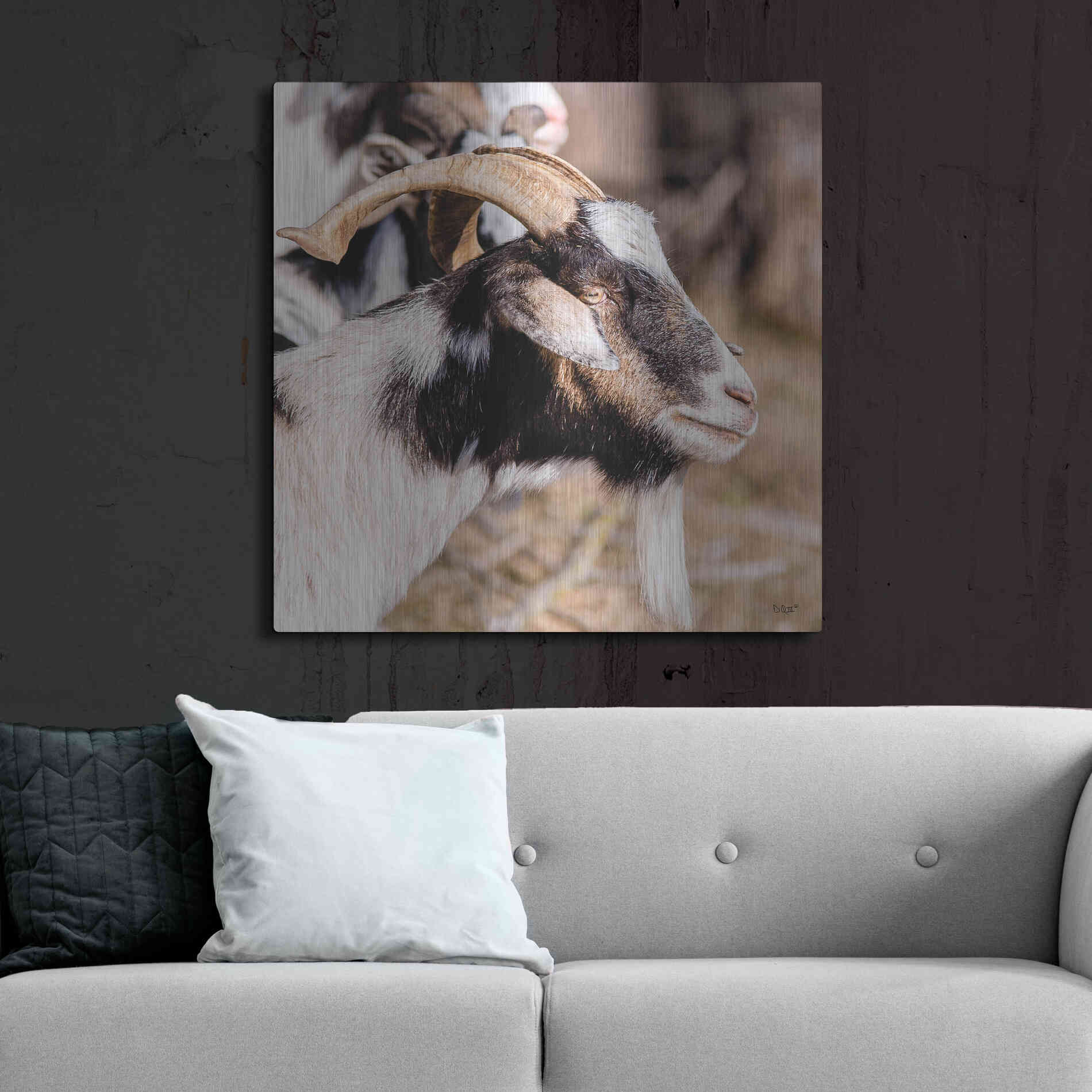 Luxe Metal Art 'Bearded Side Goat' by Donnie Quillen Metal Wall Art,36x36