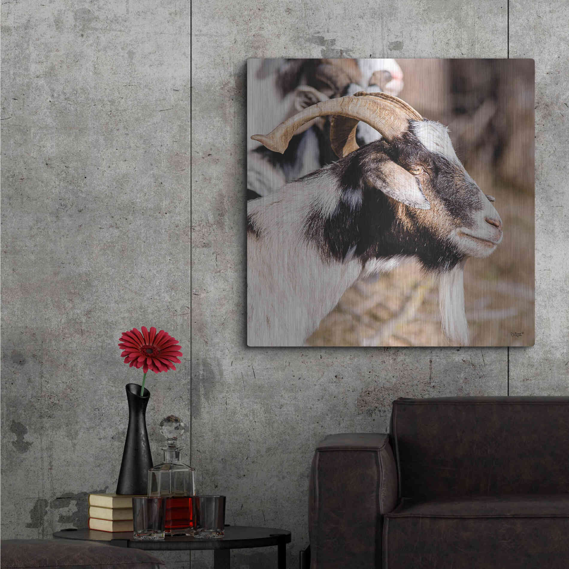 Luxe Metal Art 'Bearded Side Goat' by Donnie Quillen Metal Wall Art,36x36