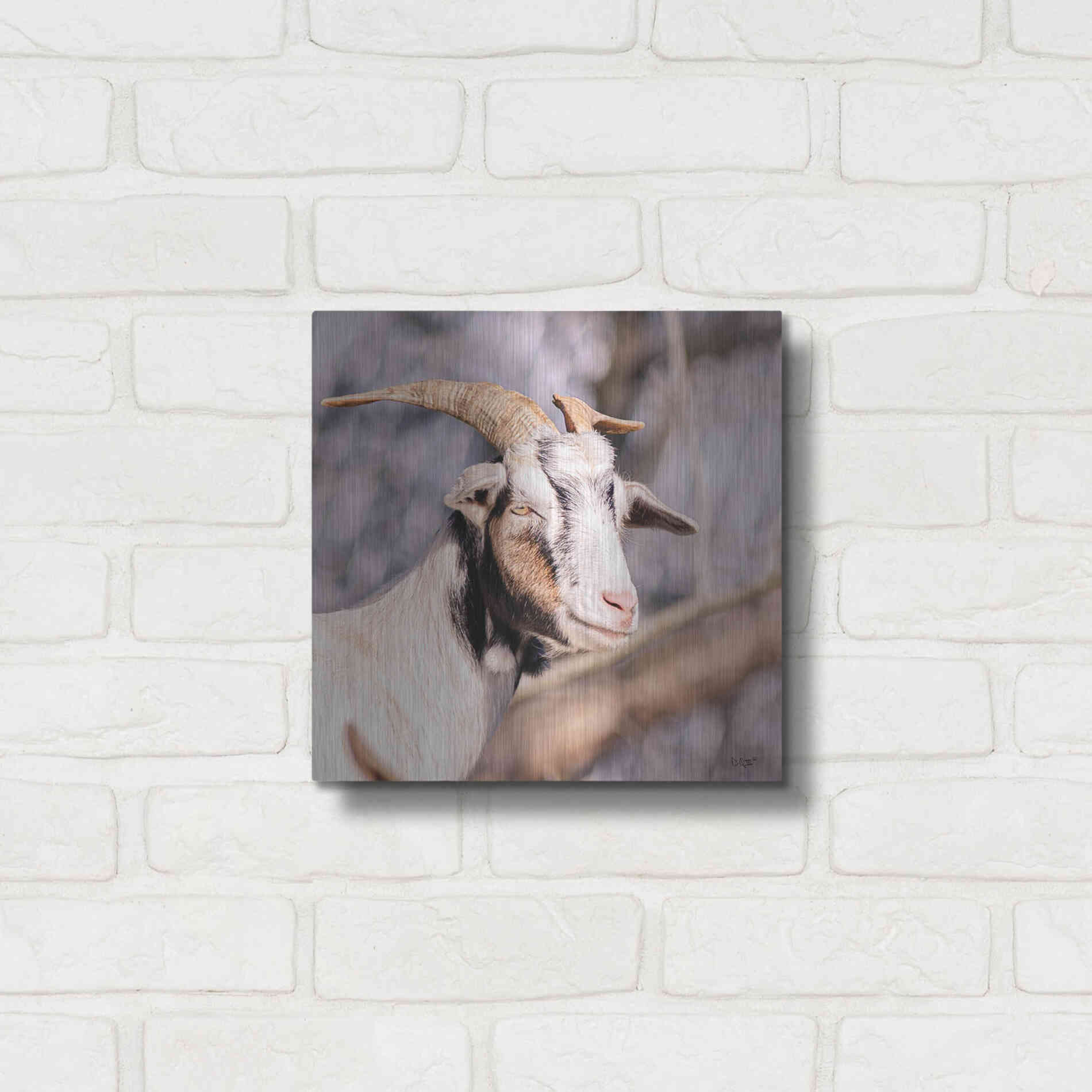 Luxe Metal Art 'Brown Goat' by Donnie Quillen Metal Wall Art,12x12