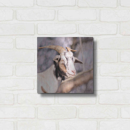Luxe Metal Art 'Brown Goat' by Donnie Quillen Metal Wall Art,12x12