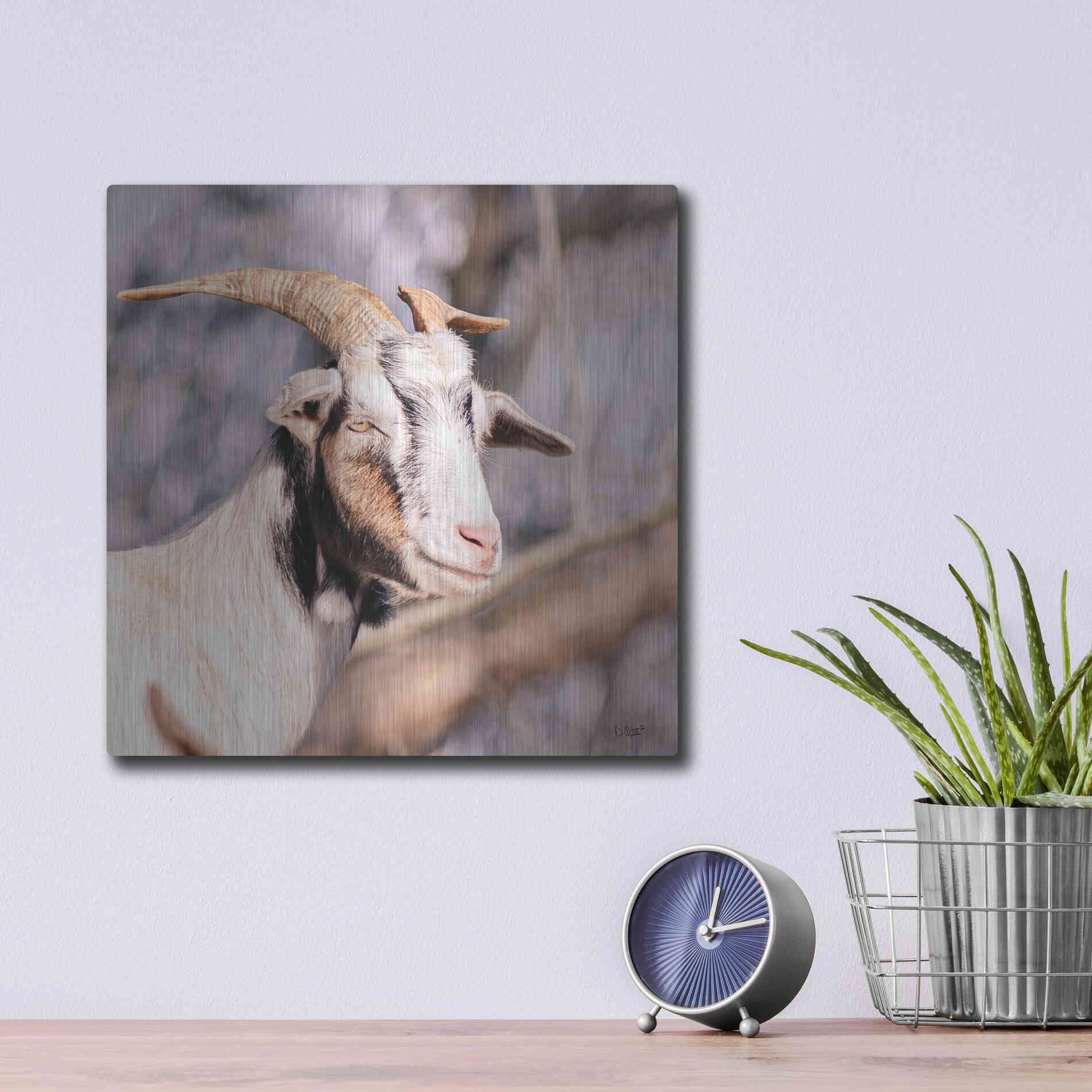 Luxe Metal Art 'Brown Goat' by Donnie Quillen Metal Wall Art,12x12