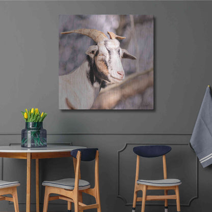 Luxe Metal Art 'Brown Goat' by Donnie Quillen Metal Wall Art,36x36