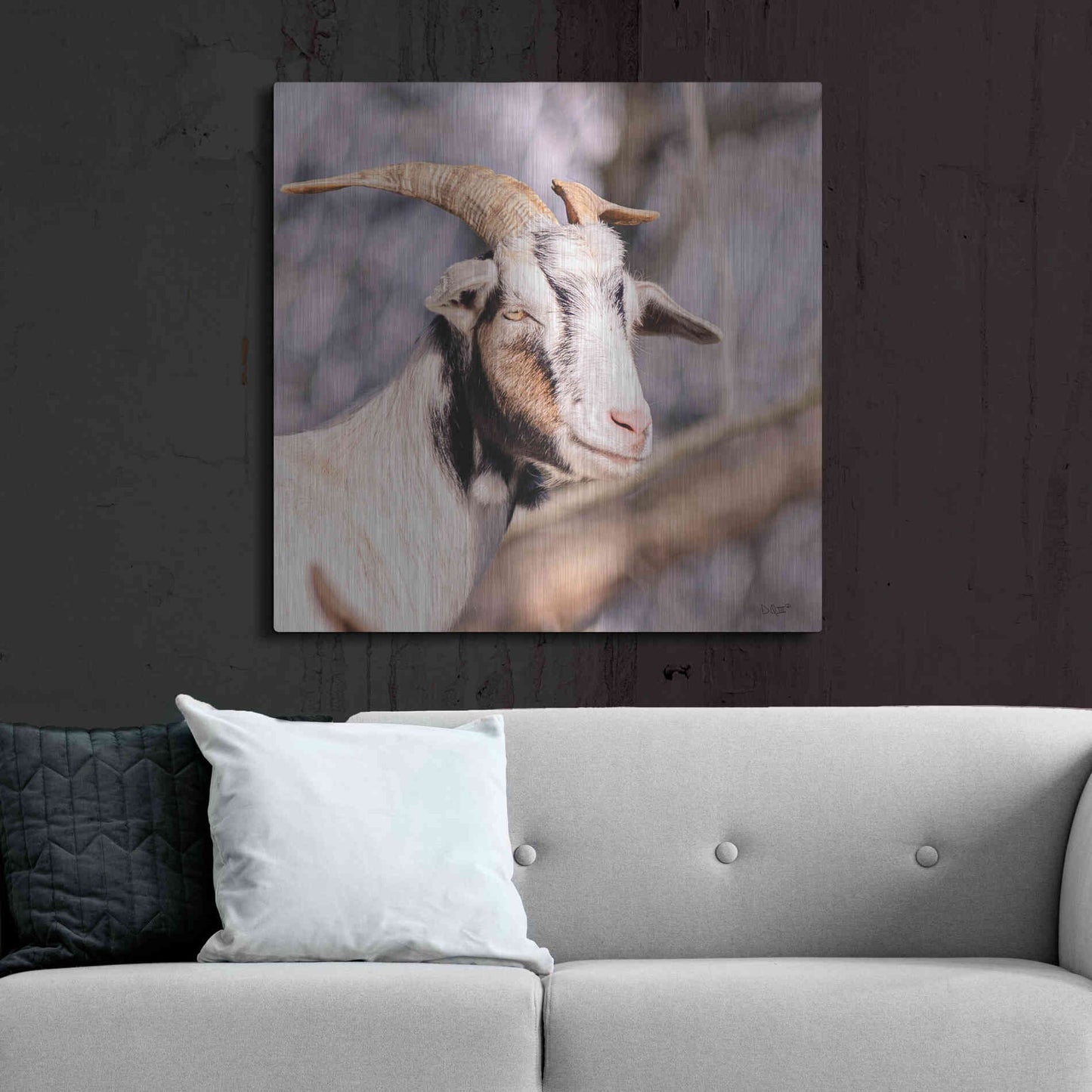 Luxe Metal Art 'Brown Goat' by Donnie Quillen Metal Wall Art,36x36