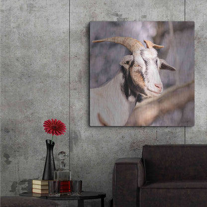 Luxe Metal Art 'Brown Goat' by Donnie Quillen Metal Wall Art,36x36