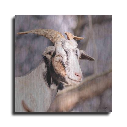 Luxe Metal Art 'Brown Goat' by Donnie Quillen Metal Wall Art