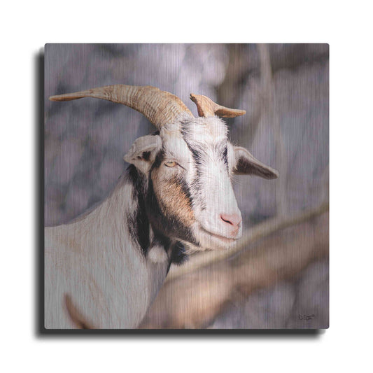 Luxe Metal Art 'Brown Goat' by Donnie Quillen Metal Wall Art