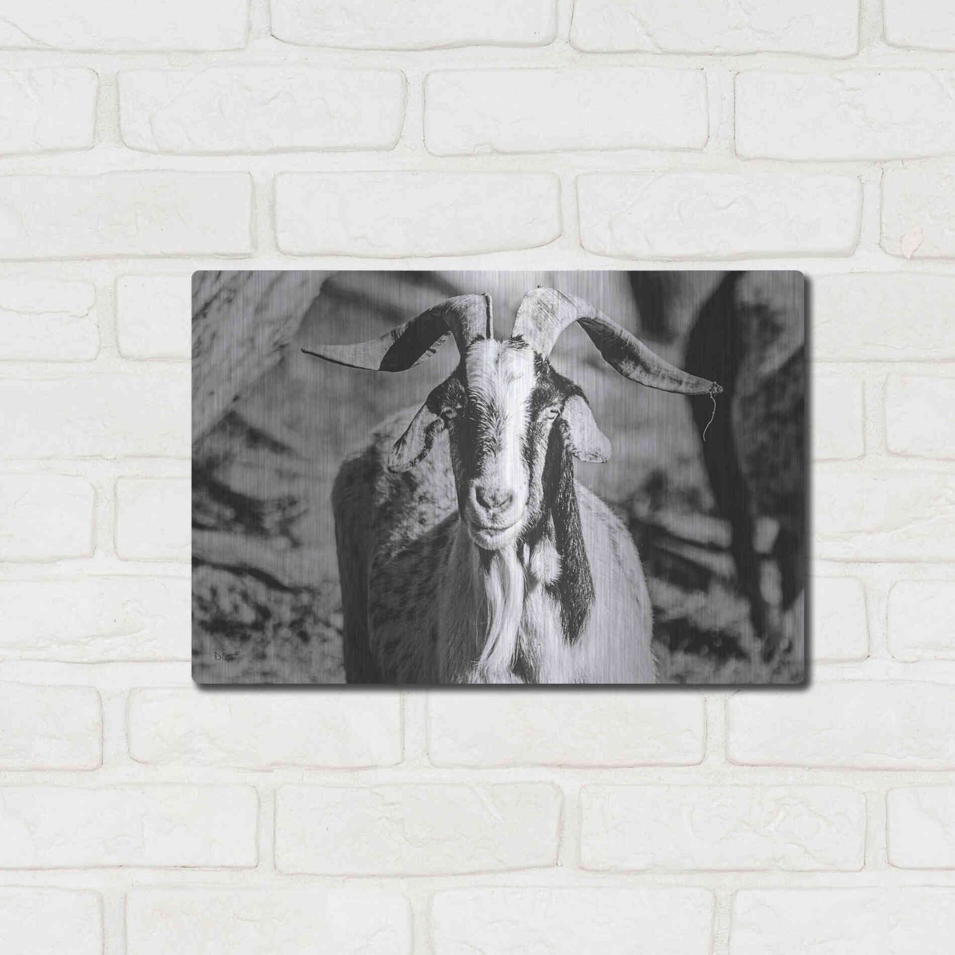 Luxe Metal Art 'Bearded Goat' by Donnie Quillen Metal Wall Art,16x12