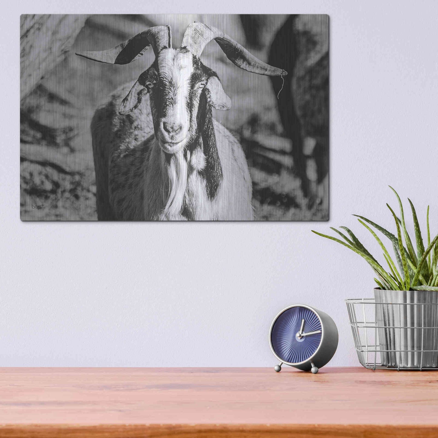 Luxe Metal Art 'Bearded Goat' by Donnie Quillen Metal Wall Art,16x12