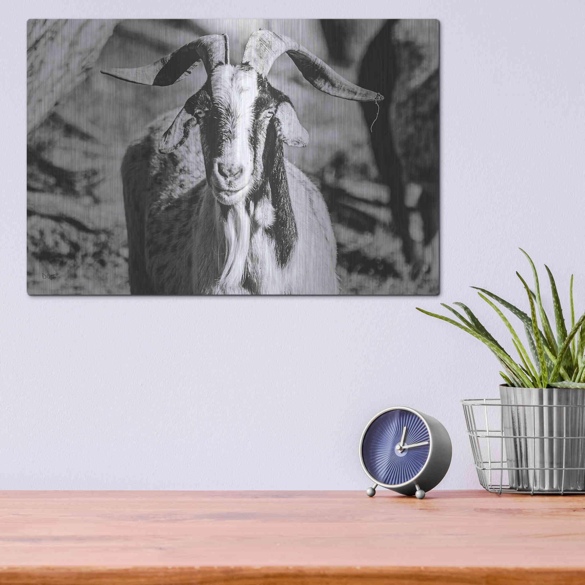 Luxe Metal Art 'Bearded Goat' by Donnie Quillen Metal Wall Art,16x12