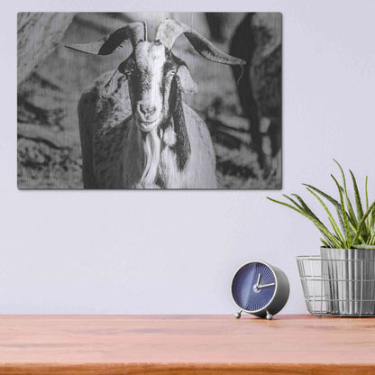 Luxe Metal Art 'Bearded Goat' by Donnie Quillen Metal Wall Art,16x12