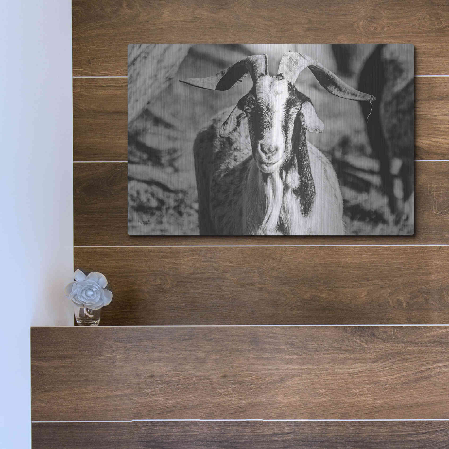 Luxe Metal Art 'Bearded Goat' by Donnie Quillen Metal Wall Art,16x12