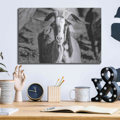 Luxe Metal Art 'Bearded Goat' by Donnie Quillen Metal Wall Art,16x12