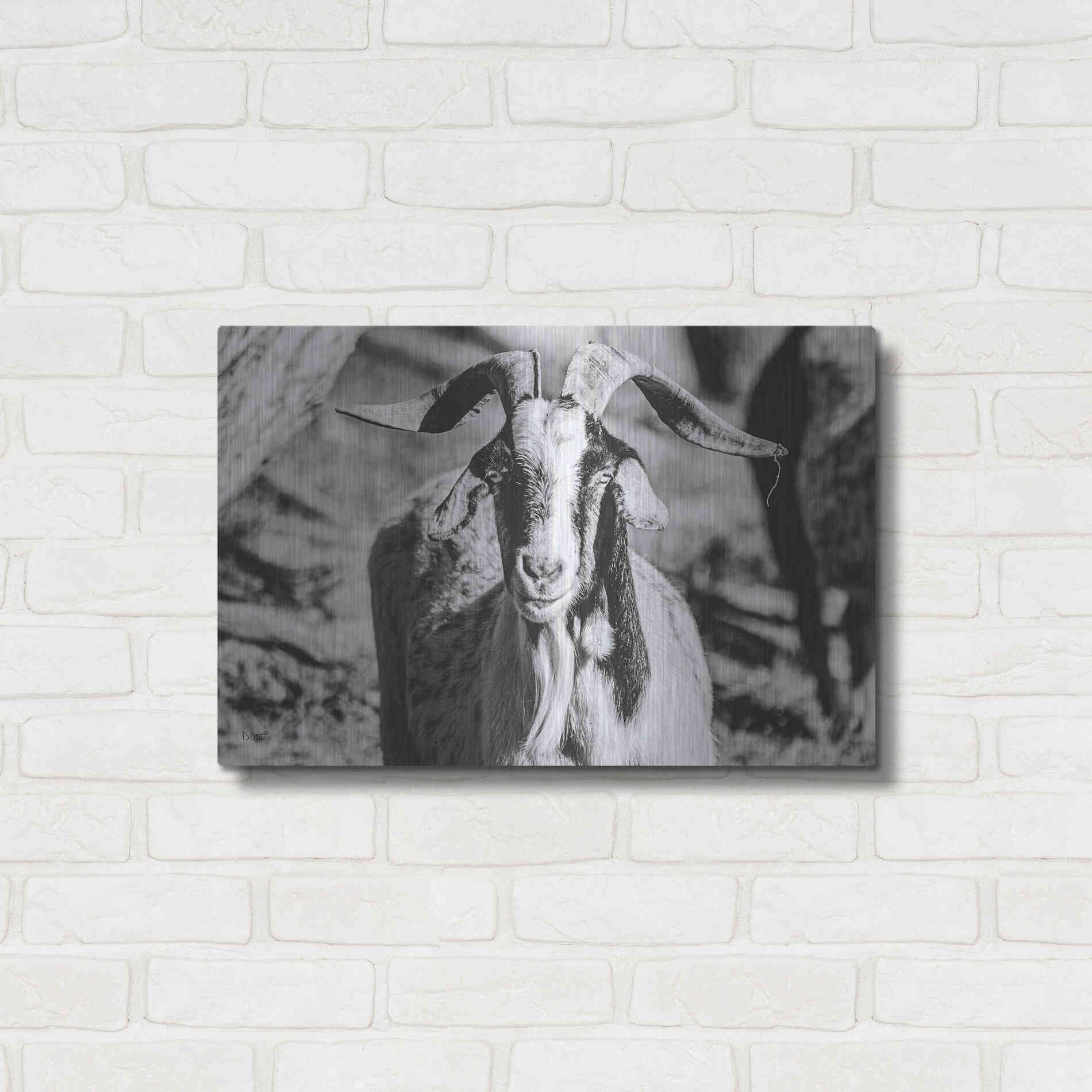 Luxe Metal Art 'Bearded Goat' by Donnie Quillen Metal Wall Art,24x16