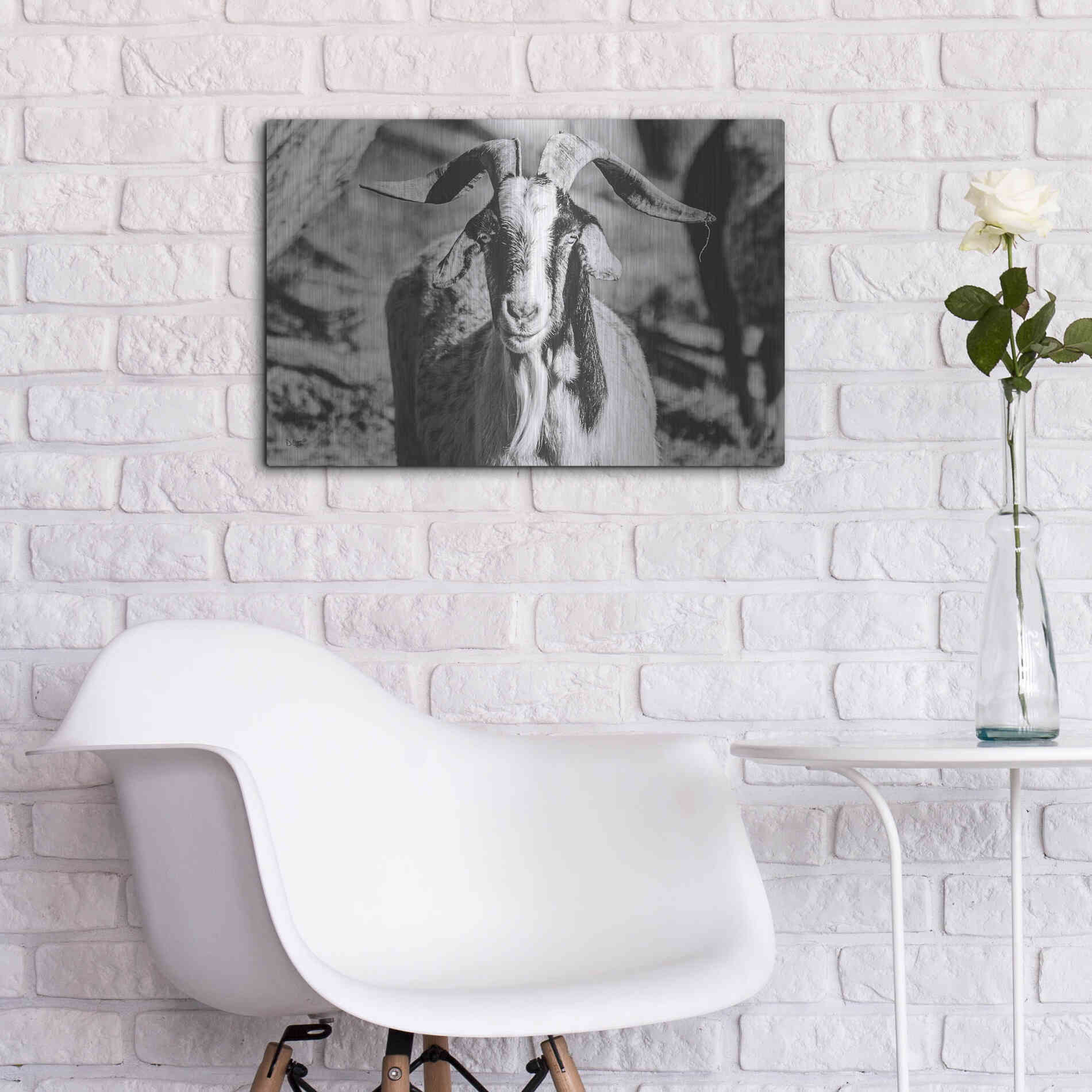 Luxe Metal Art 'Bearded Goat' by Donnie Quillen Metal Wall Art,24x16