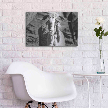 Luxe Metal Art 'Bearded Goat' by Donnie Quillen Metal Wall Art,24x16