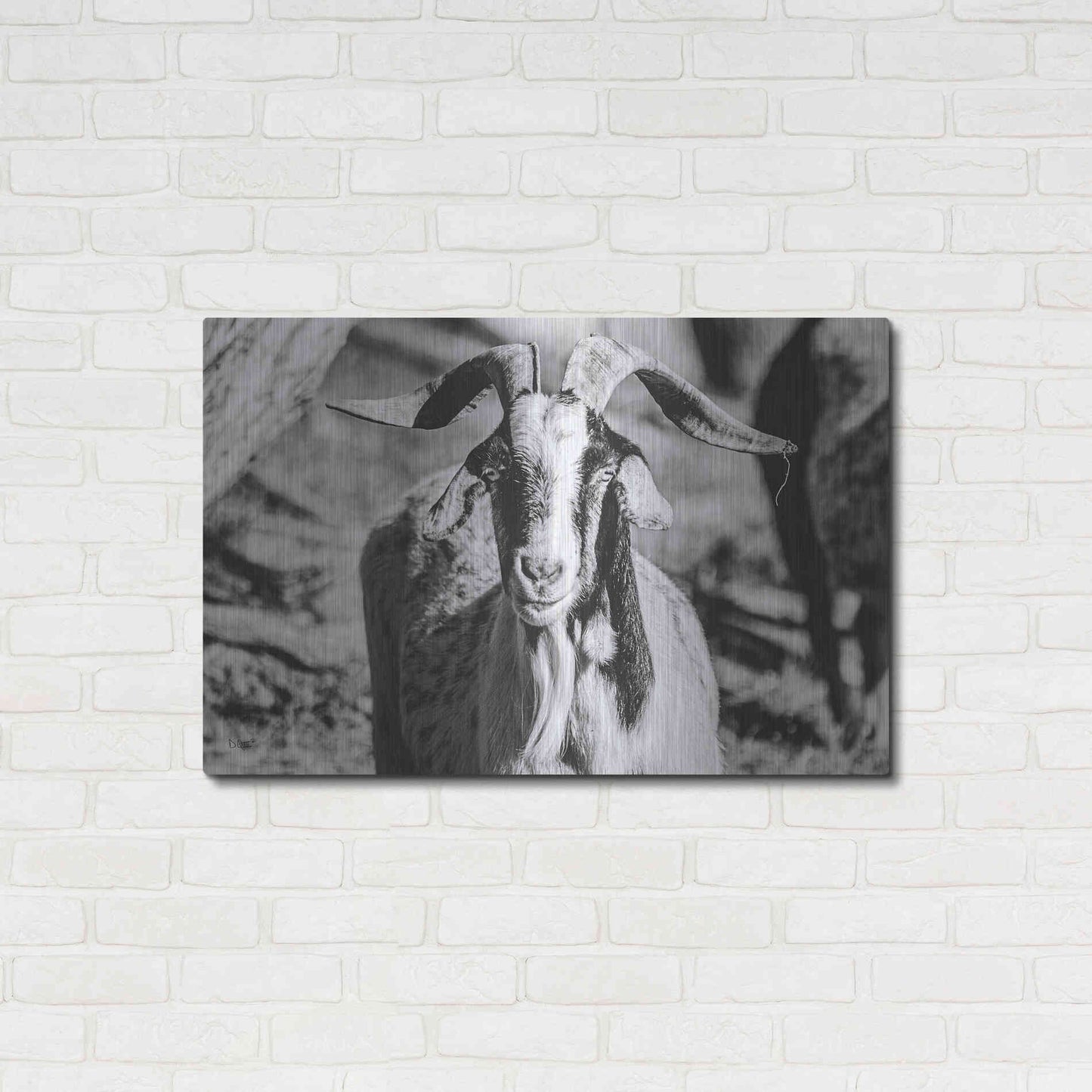 Luxe Metal Art 'Bearded Goat' by Donnie Quillen Metal Wall Art,36x24