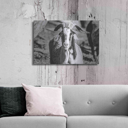 Luxe Metal Art 'Bearded Goat' by Donnie Quillen Metal Wall Art,36x24