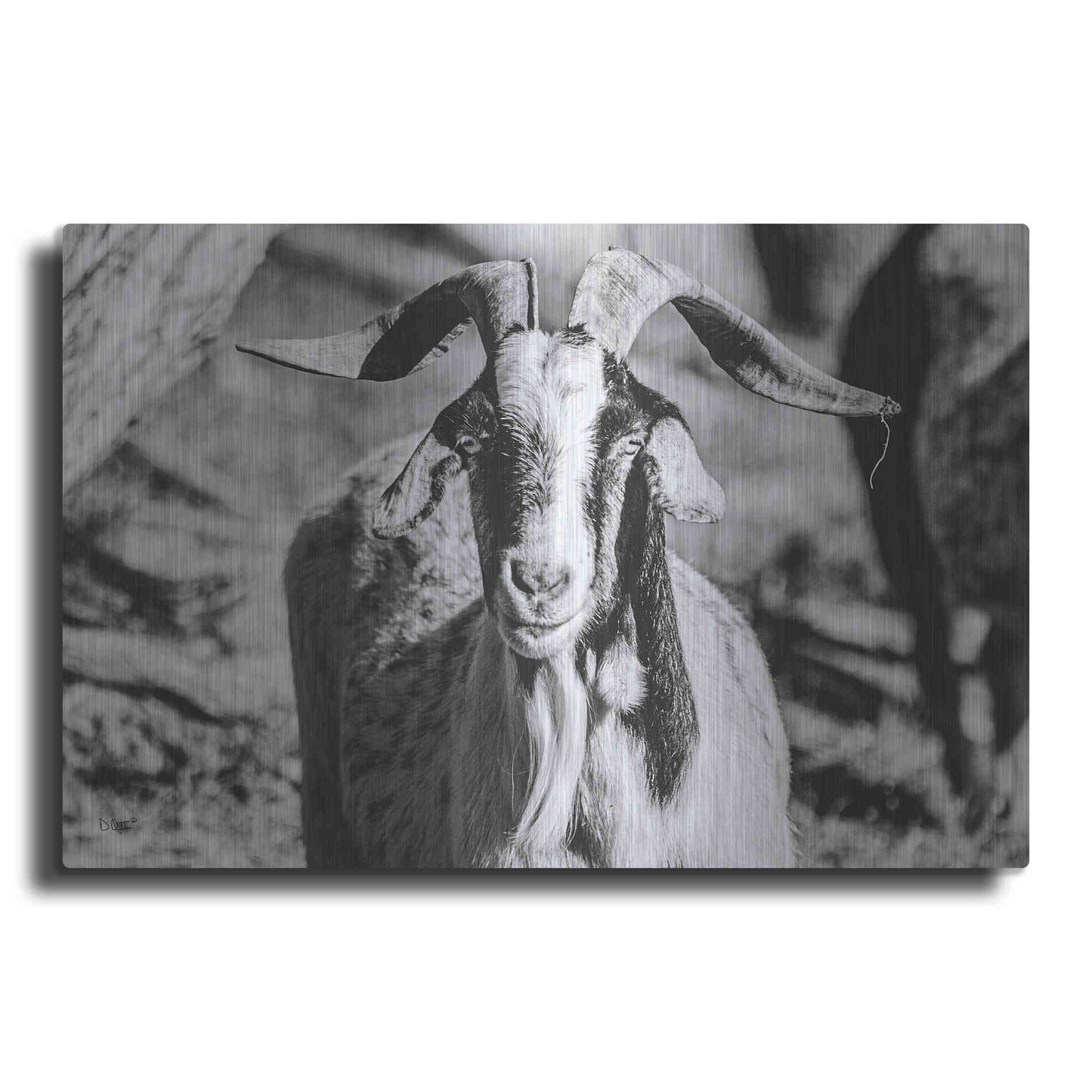Luxe Metal Art 'Bearded Goat' by Donnie Quillen Metal Wall Art