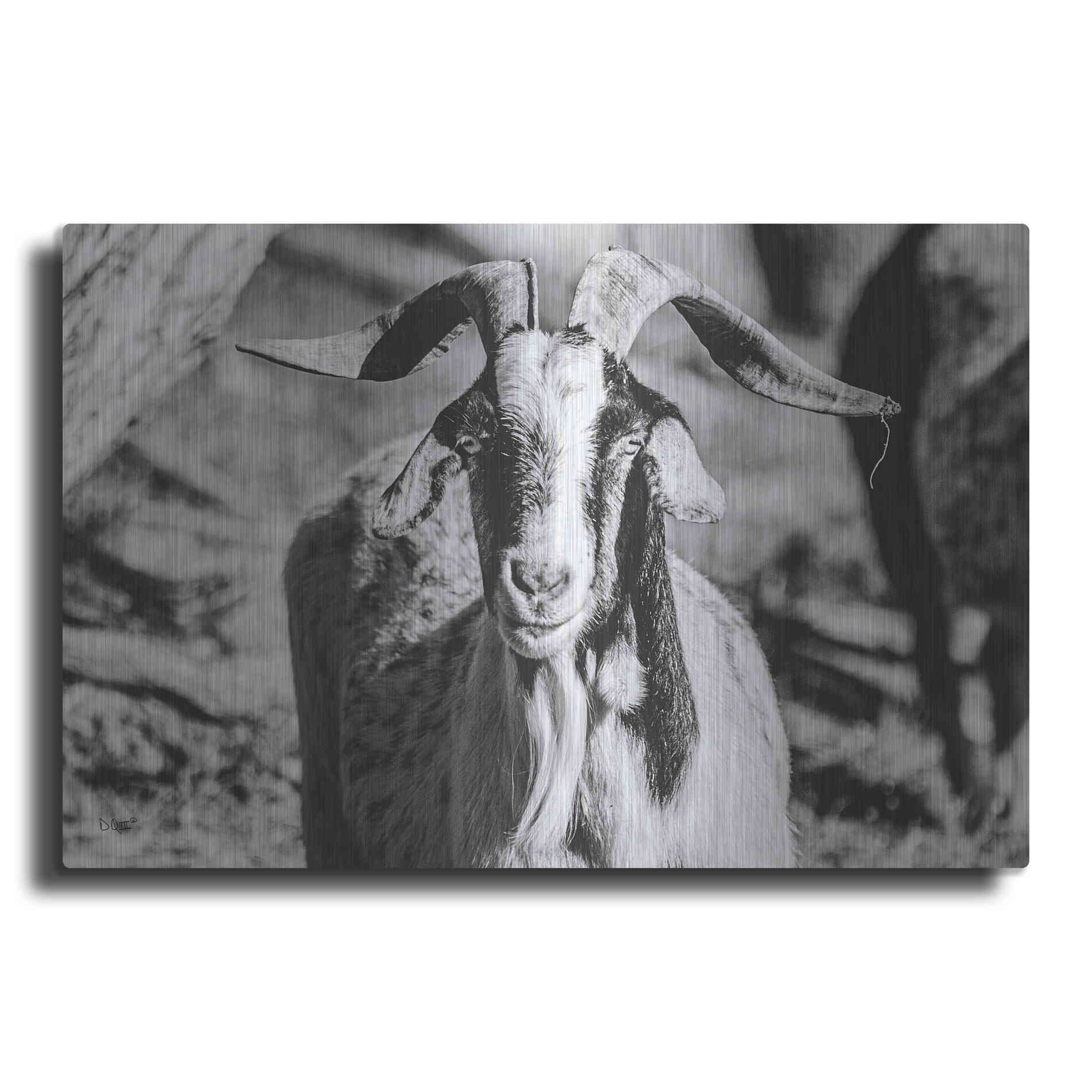Luxe Metal Art 'Bearded Goat' by Donnie Quillen Metal Wall Art