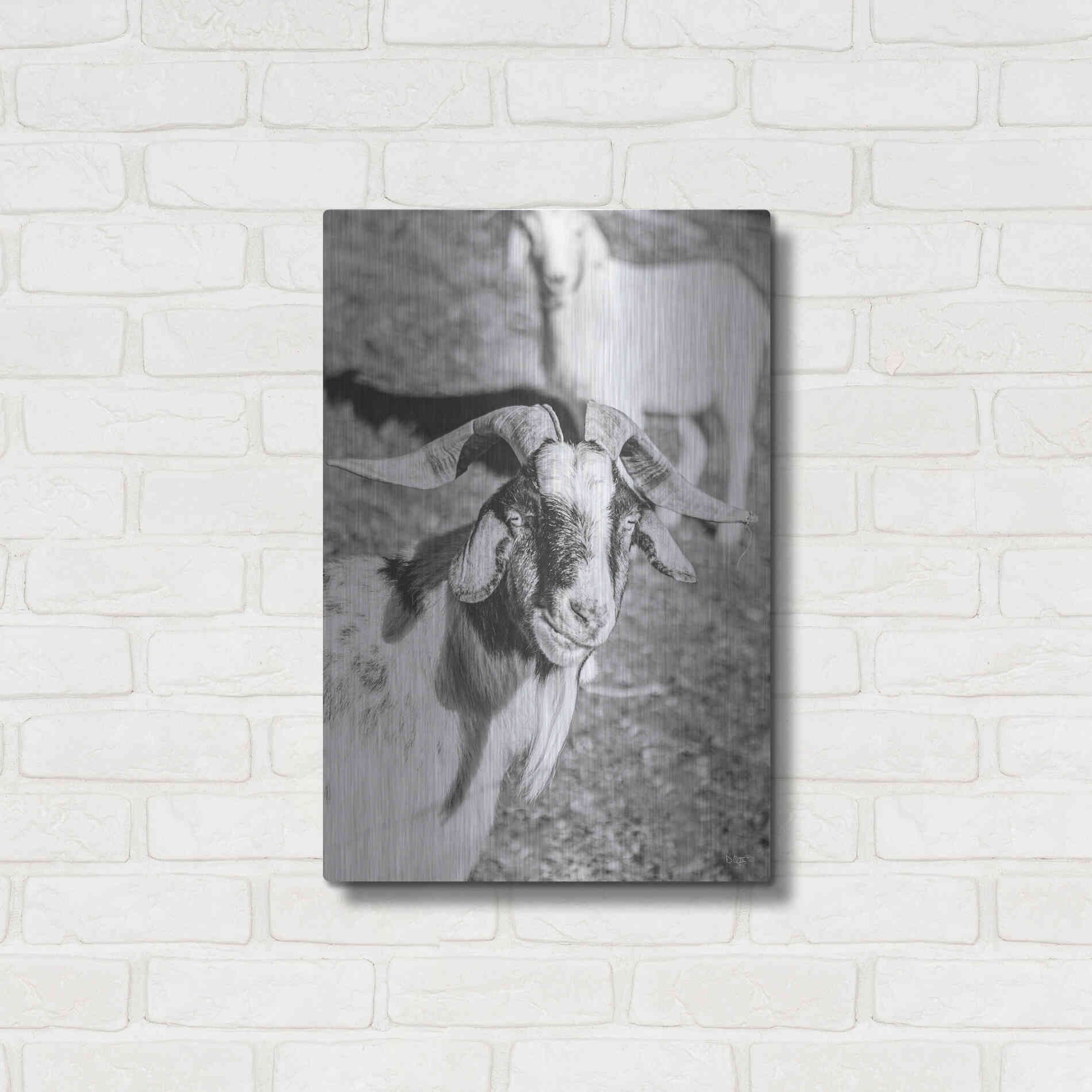 Luxe Metal Art 'Eating Goat' by Donnie Quillen Metal Wall Art,16x24