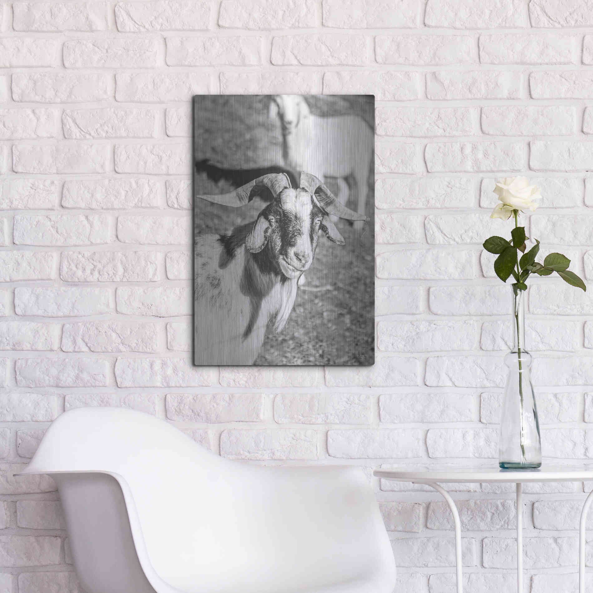 Luxe Metal Art 'Eating Goat' by Donnie Quillen Metal Wall Art,16x24