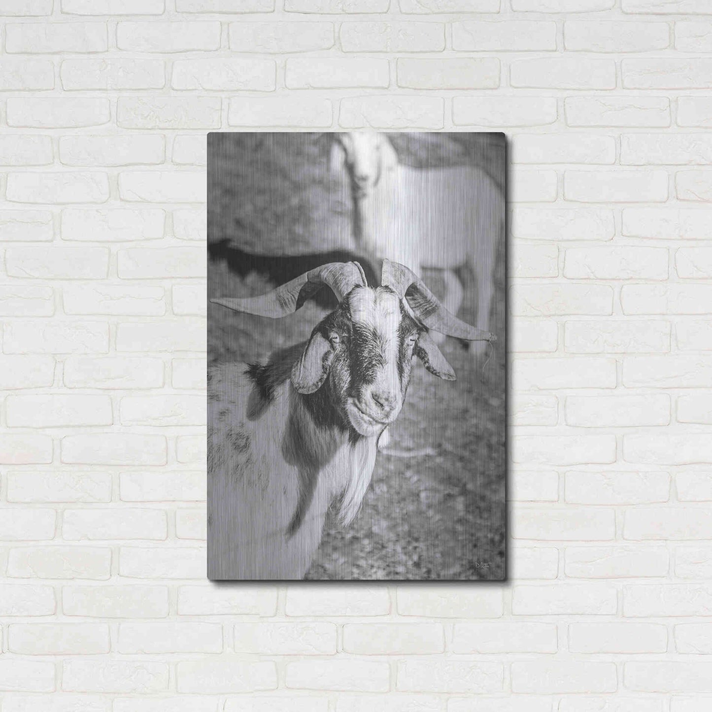 Luxe Metal Art 'Eating Goat' by Donnie Quillen Metal Wall Art,24x36