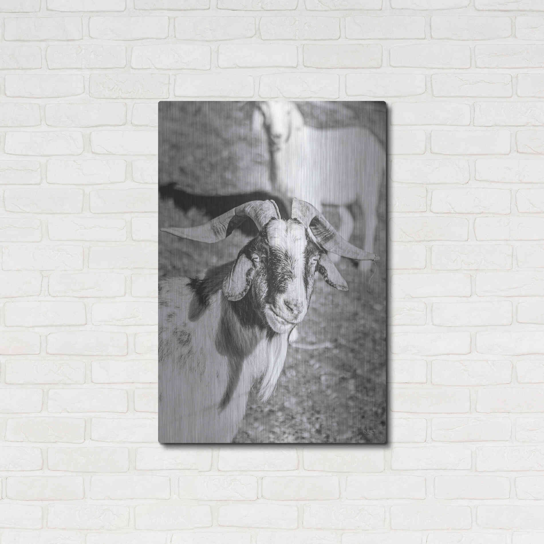 Luxe Metal Art 'Eating Goat' by Donnie Quillen Metal Wall Art,24x36