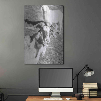 Luxe Metal Art 'Eating Goat' by Donnie Quillen Metal Wall Art,24x36