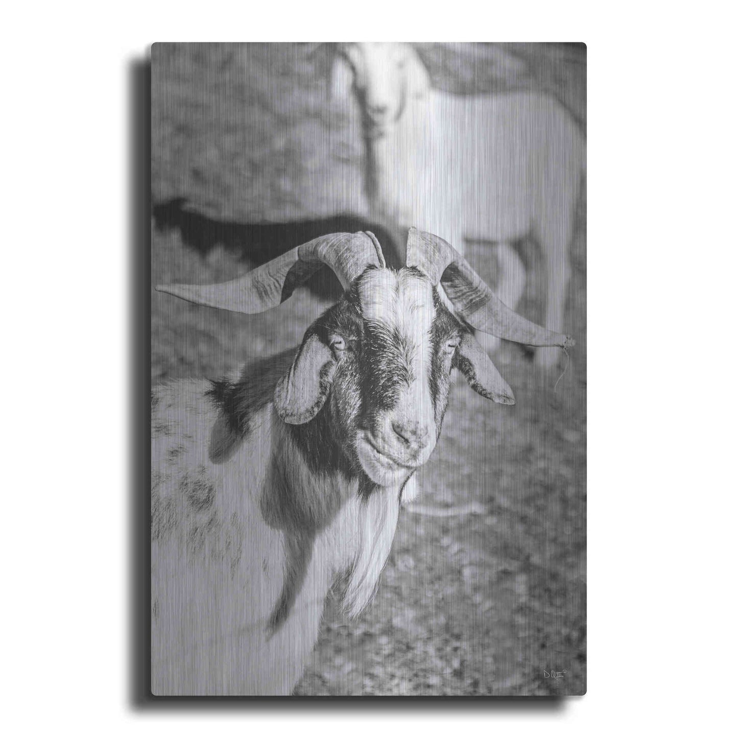 Luxe Metal Art 'Eating Goat' by Donnie Quillen Metal Wall Art